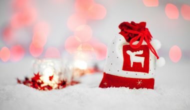 Twelve Contemporary (Shopping) Days of Christmas