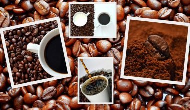Coffee Facts