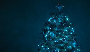 Christmas Tree Themes: Are They Really Worth It?